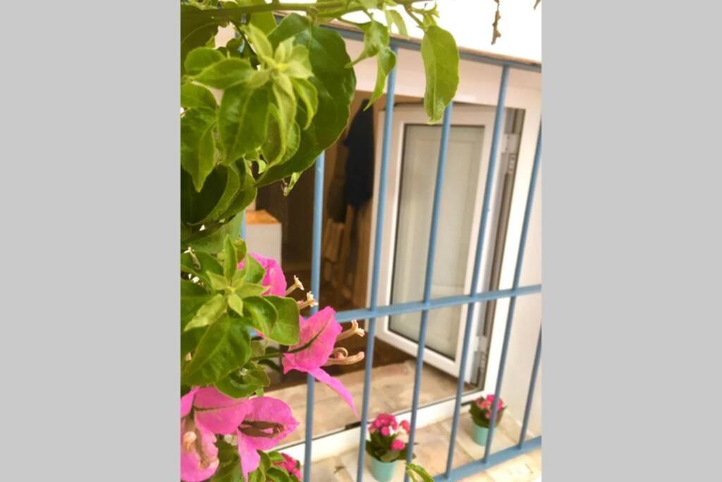 Villa La Puerta Azul Bornos Esterno foto