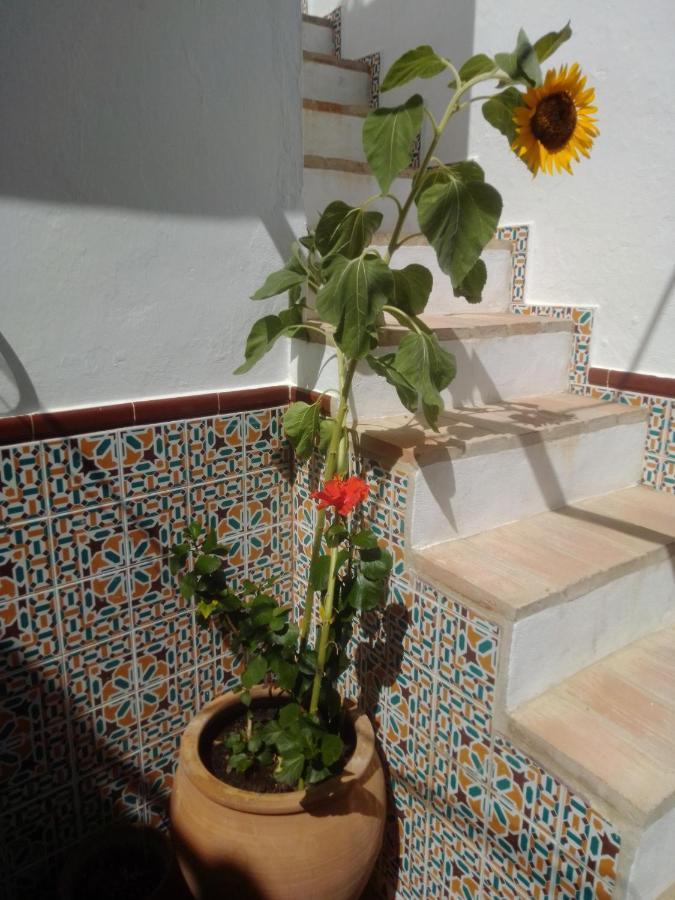 Villa La Puerta Azul Bornos Esterno foto