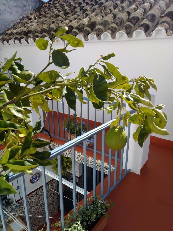 Villa La Puerta Azul Bornos Esterno foto